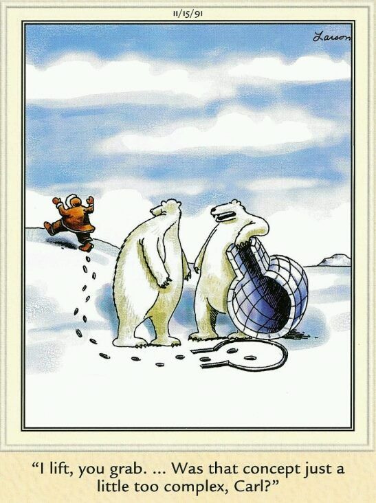 far side bear.jpg