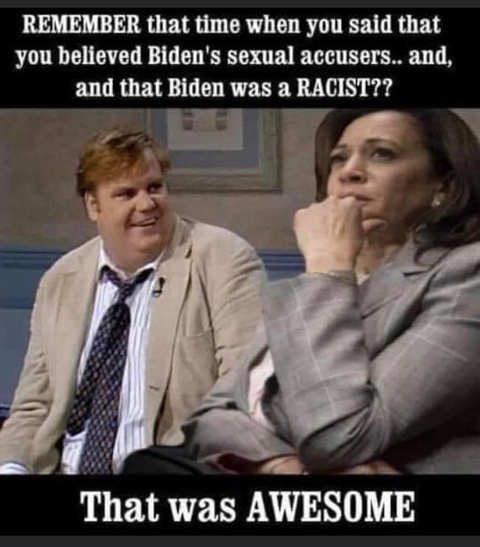 farley-kamala-harris-remember-when-you-said-believed-biden-sexual-accusers-and-hes-racist-awes...jpg