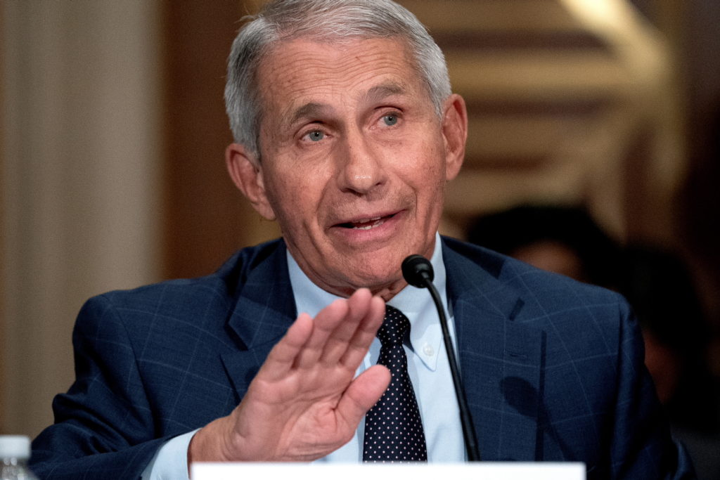fauci.jpg
