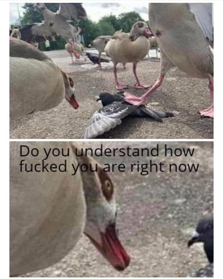 FB294472-DDD2-45F5-8D78-863DD84B50BB.png
