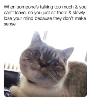 FB31DF0A-7BAF-4C5F-B285-D9B700A1F407.png