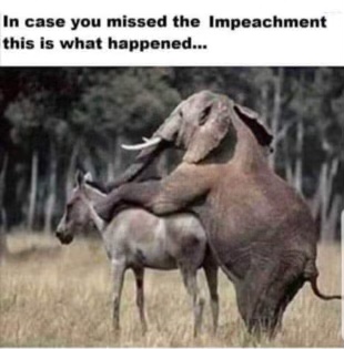 FB51763B-755B-4B98-B69F-6BB256C477E6.jpeg