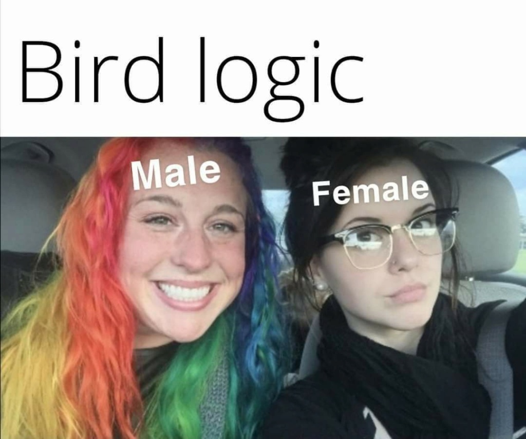 fb_im223.jpg