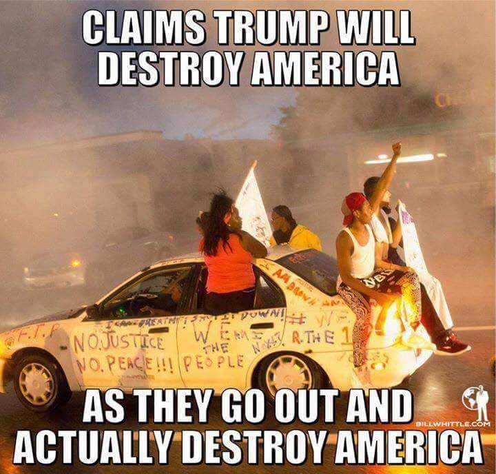 FB_IMG_1484434190435.jpg