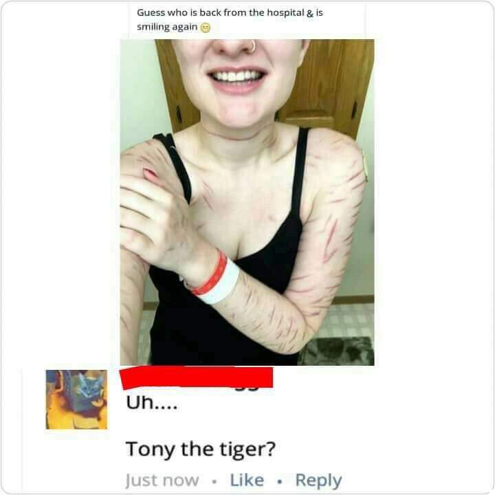 7097136