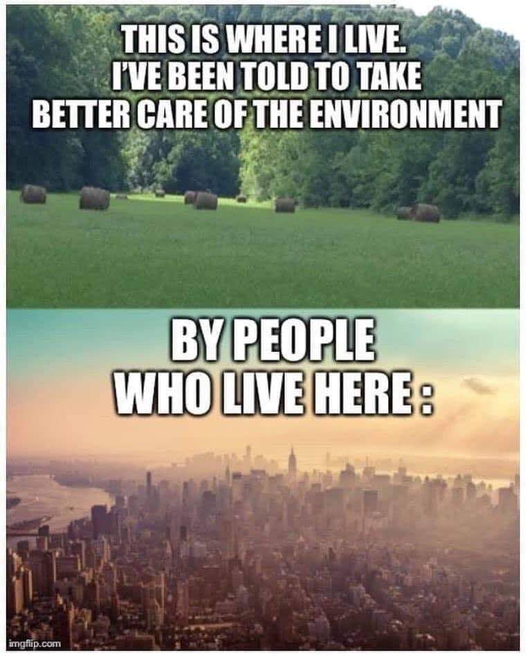 FB_IMG_1571841923404.jpg