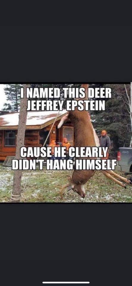 FB_IMG_1573095461006.jpg