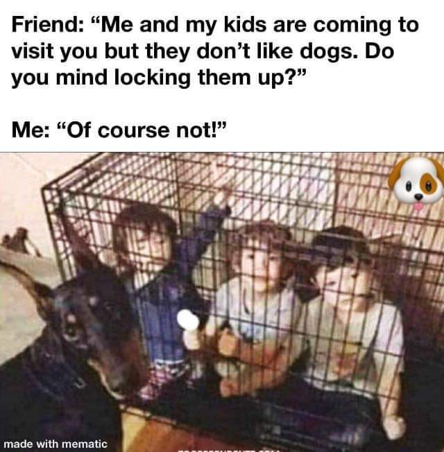 FB_IMG_1576107882320.jpg