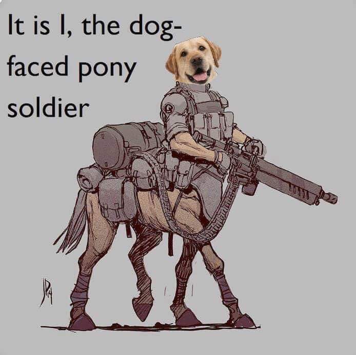 FB_IMG_1584061294202.jpg