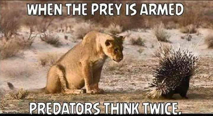 FB_IMG_1584552335127.jpg