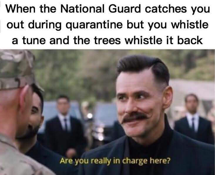 FB_IMG_1584761147273.jpg