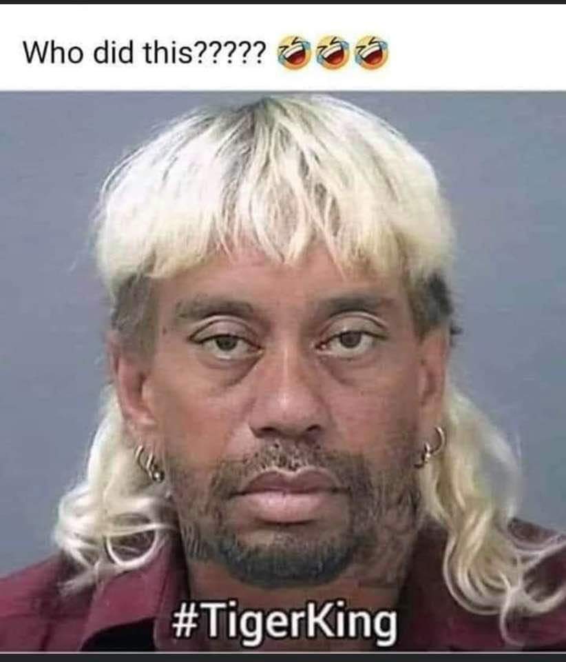 FB_IMG_1585928922389.jpg