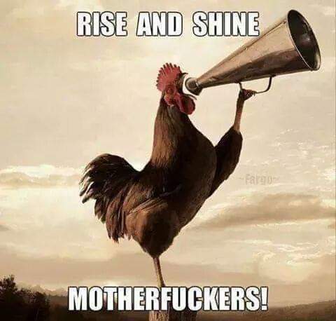 FB_IMG_1588302958448.jpg