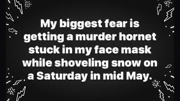 FB_IMG_1589065996112.jpg
