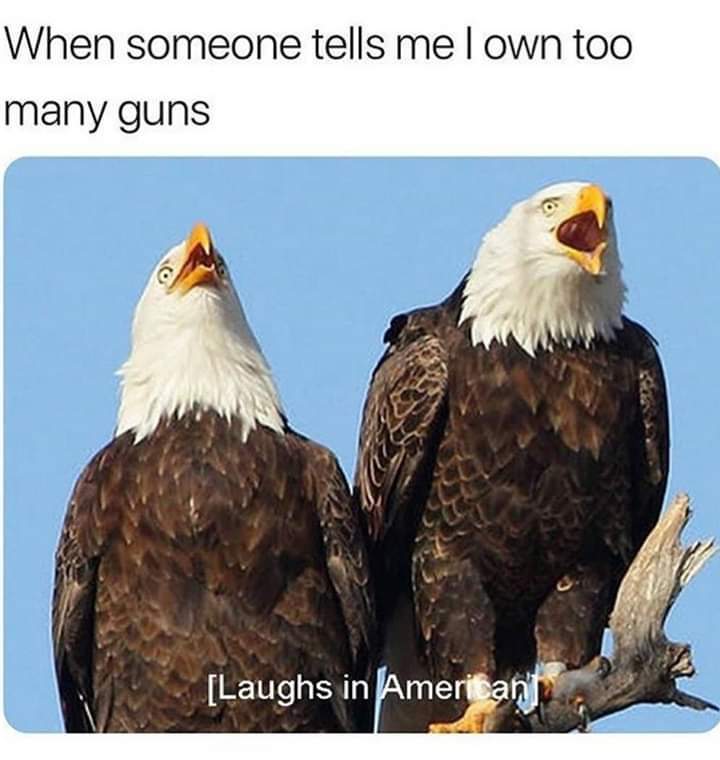 FB_IMG_1589424199538.jpg