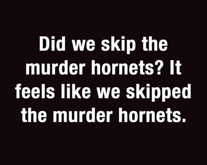 FB_IMG_1591213438900.jpg