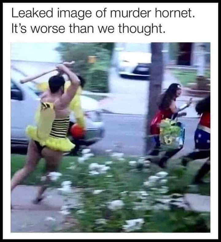 FB_IMG_1591417731208.jpg