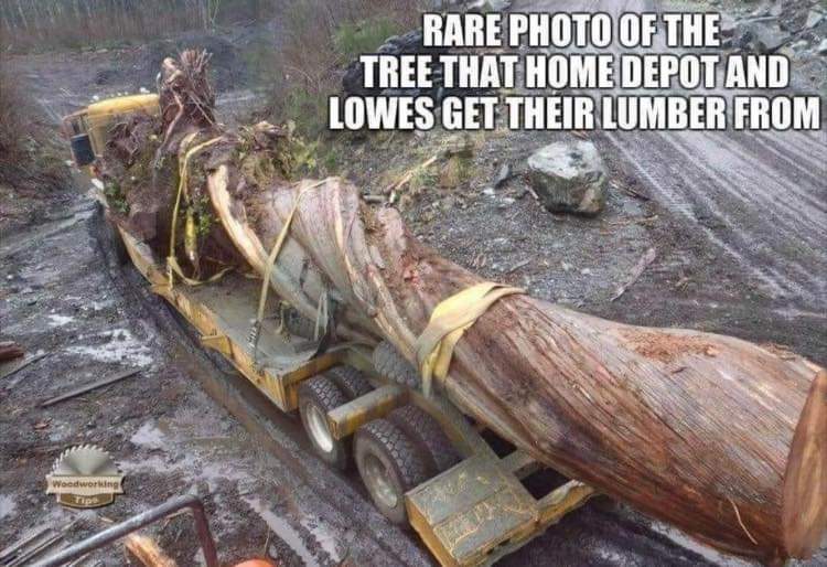 FB_IMG_1592043150531.jpg