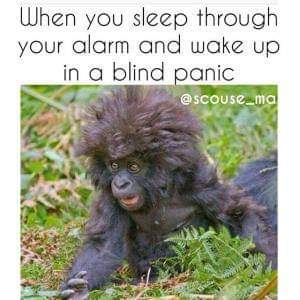 FB_IMG_1592108288474.jpg