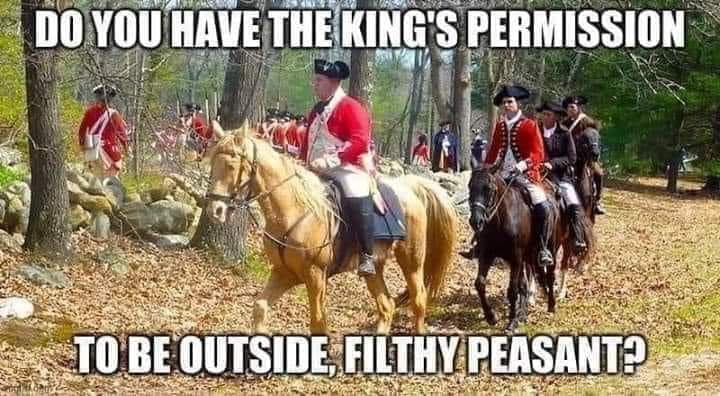 FB_IMG_1594567272287.jpg