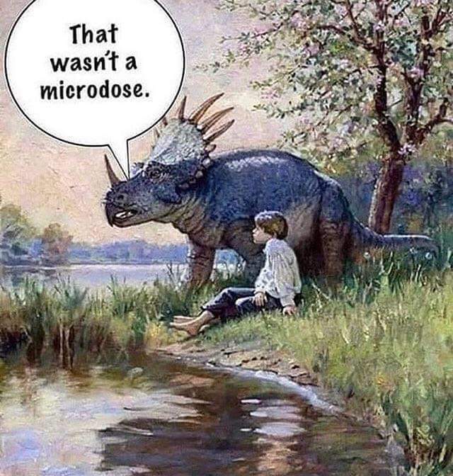 FB_IMG_1597796589770.jpg