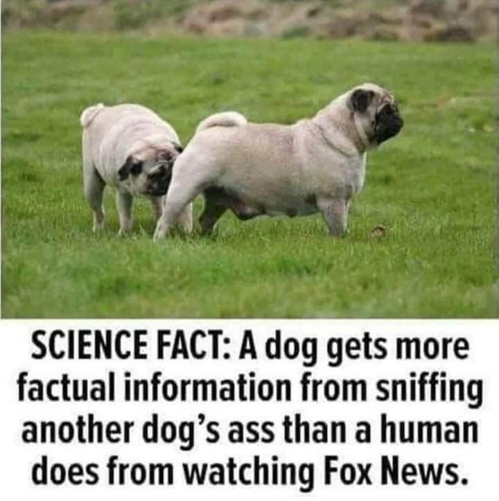 FB_IMG_1598311652922.jpg