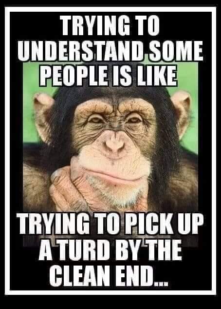 FB_IMG_1601627879111.jpg