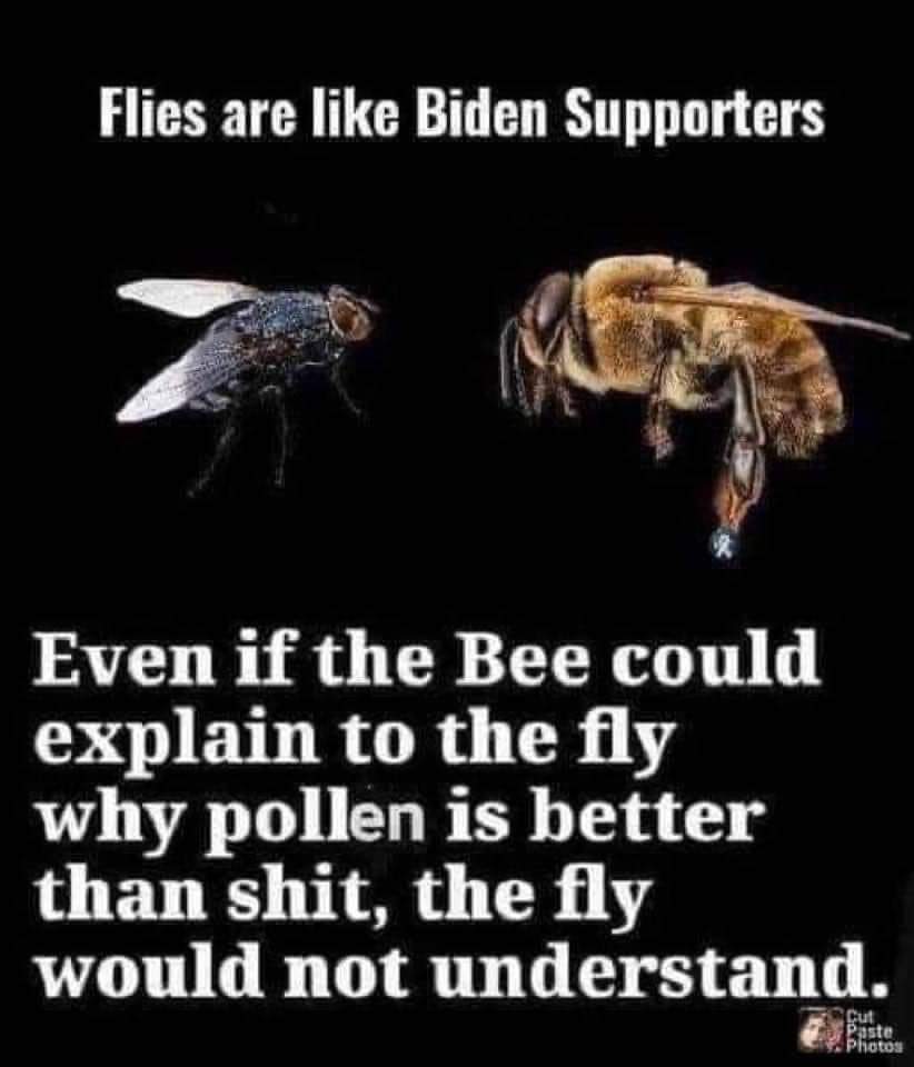 FB_IMG_1601751278556.jpg