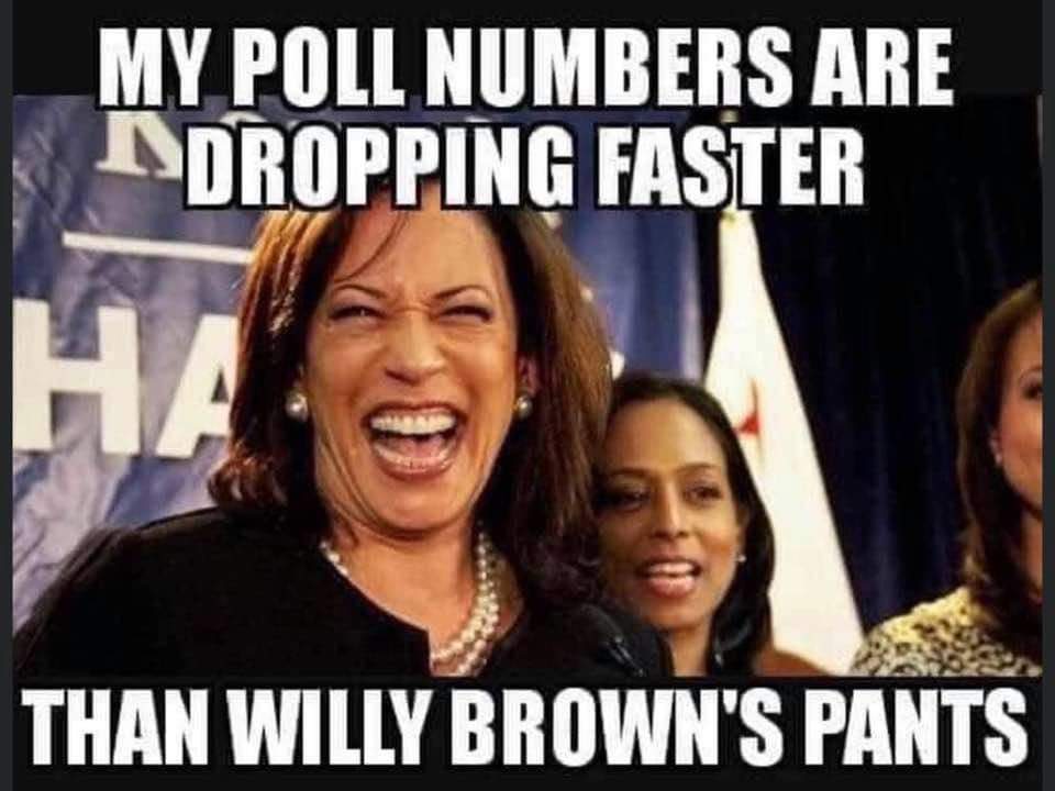 FB_IMG_1602420813581.jpg