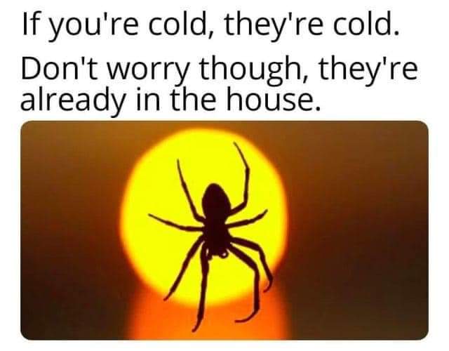 FB_IMG_1603507591188.jpg