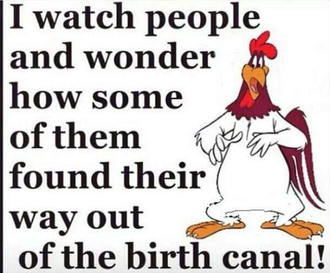 FB_IMG_1604770929294.jpg