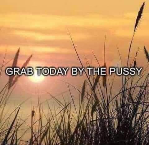 FB_IMG_1605524517198.jpg