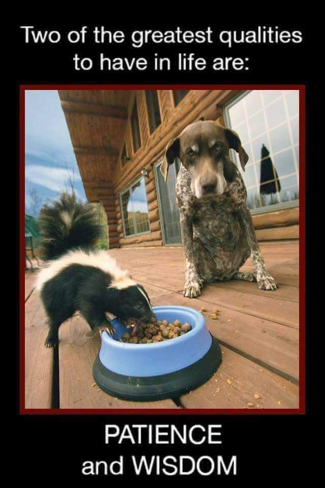 FB_IMG_1605717324834.jpg