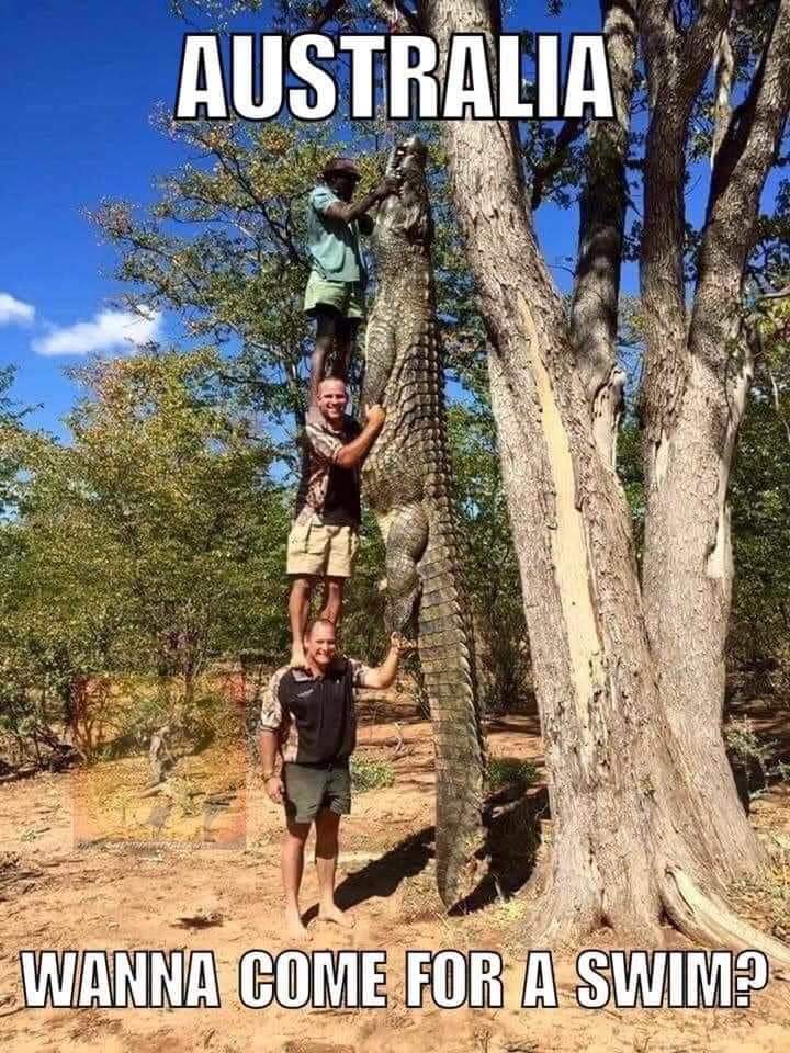 FB_IMG_1606281020675.jpg