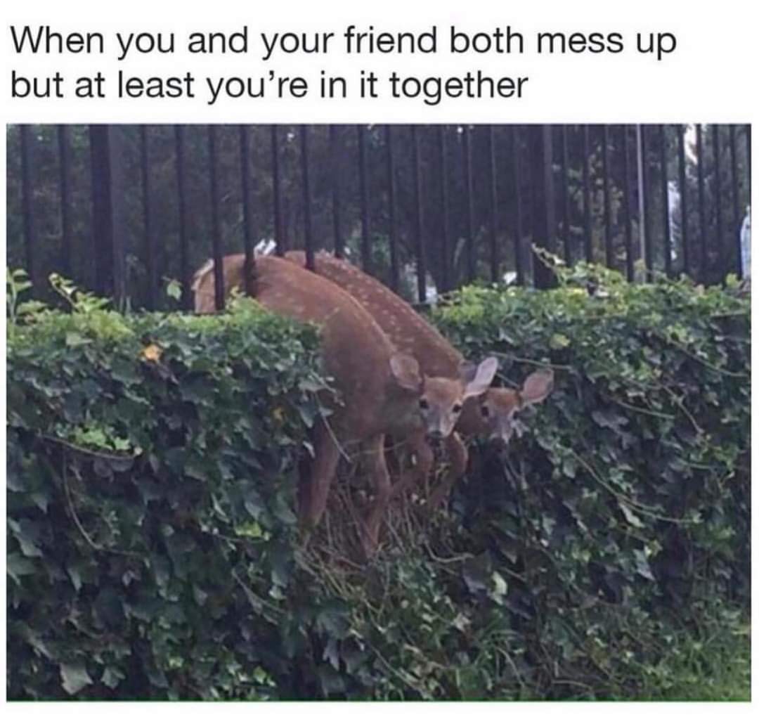 FB_IMG_1606291957374.jpg