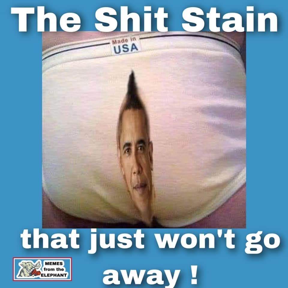 FB_IMG_1606350127030.jpg
