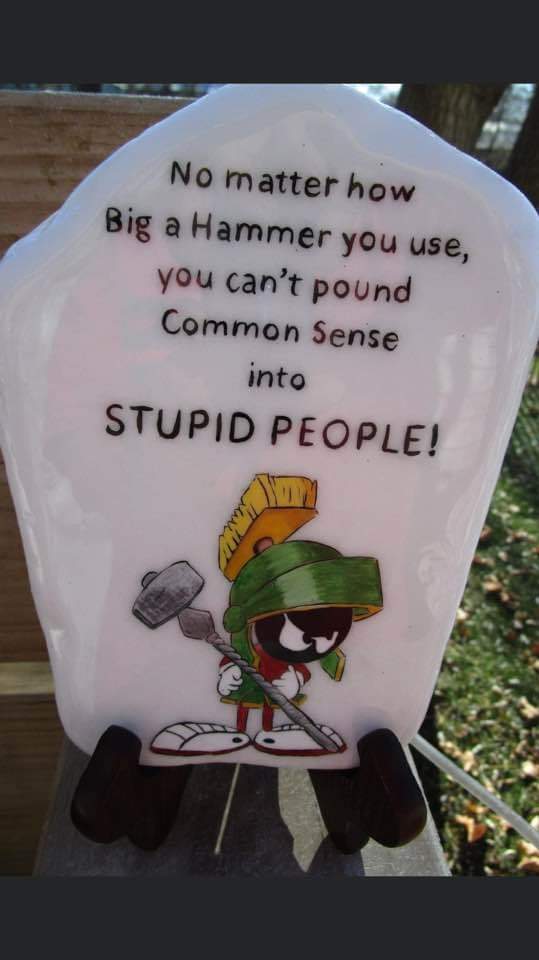 FB_IMG_1608482232673.jpg
