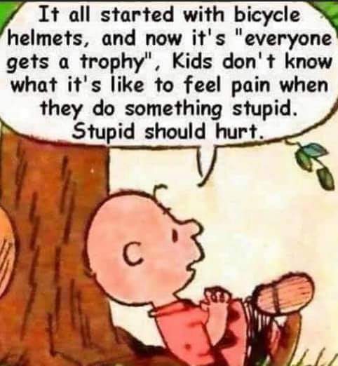 FB_IMG_1608482305847.jpg