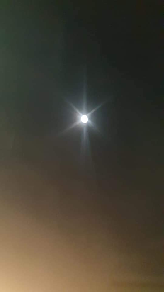 FB_IMG_1608602621562.jpg