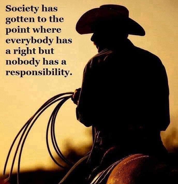 FB_IMG_1608683334354.jpg