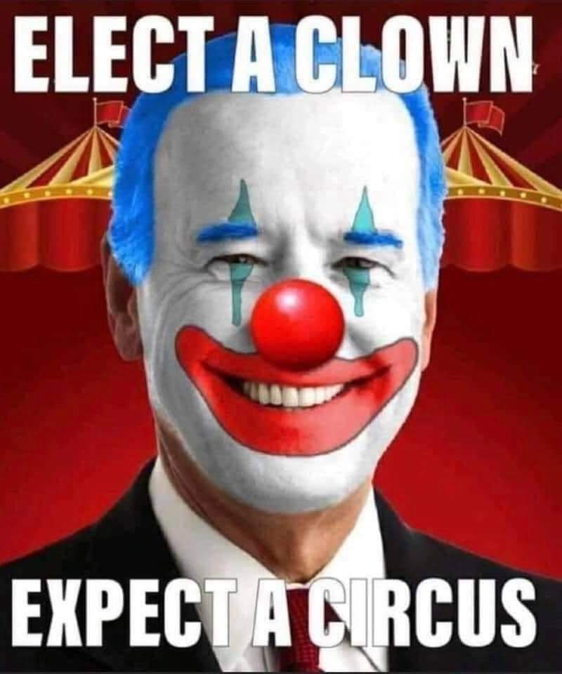 FB_IMG_1608683390086.jpg
