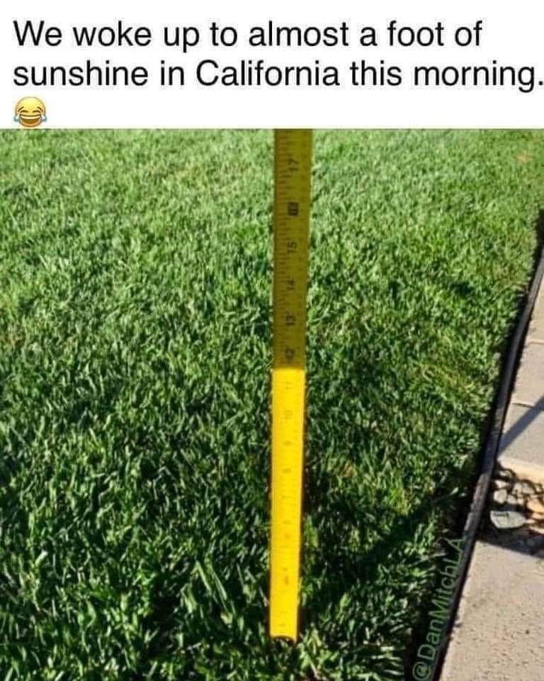FB_IMG_1613523882434.jpg