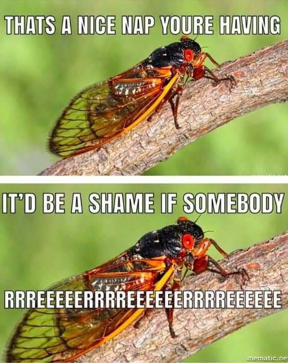 FB_IMG_1620538419862.jpg