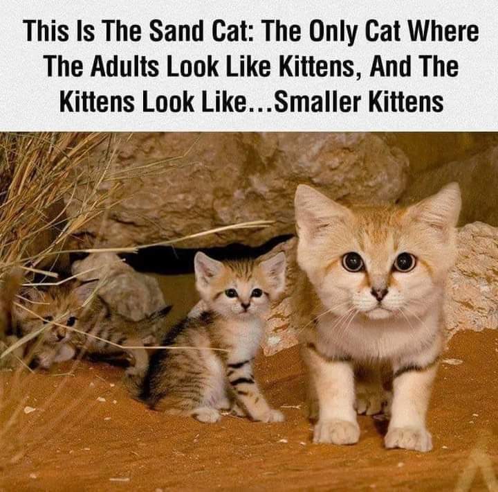 FB_IMG_1621094105409.jpg