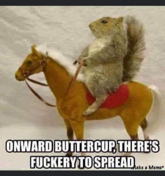 FB_IMG_1622820528828.jpg