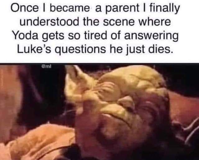 FB_IMG_1624302036846.jpg