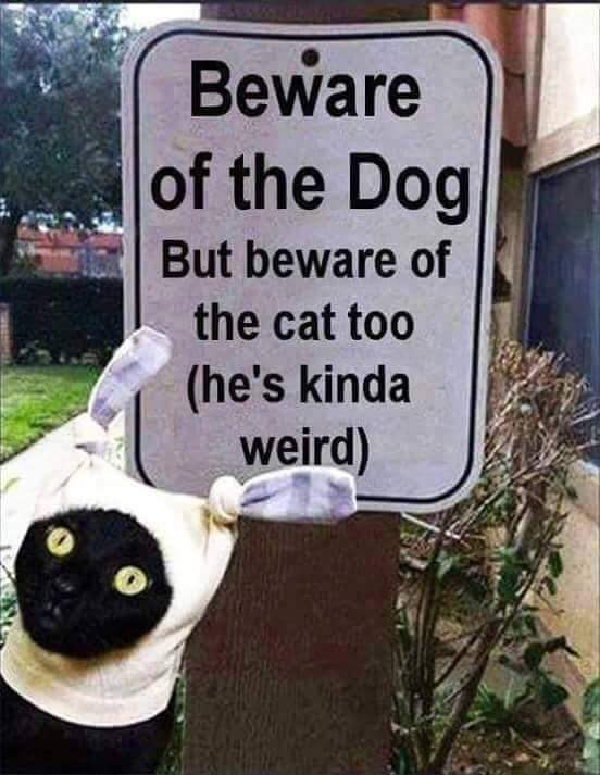 FB_IMG_1624490108947.jpg