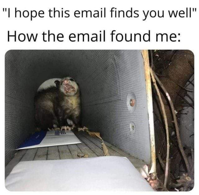 FB_IMG_1624793961829.jpg