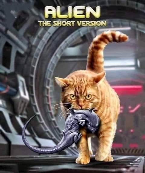 FB_IMG_1624897423462.jpg