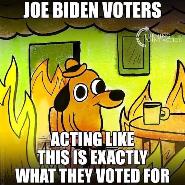 FB_IMG_1629642478375.jpg